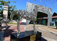 포경선, 바다의 꿈 의 사진